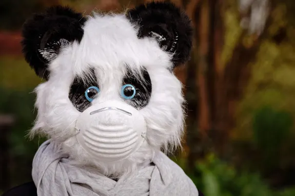 9 קזינו תמיכה